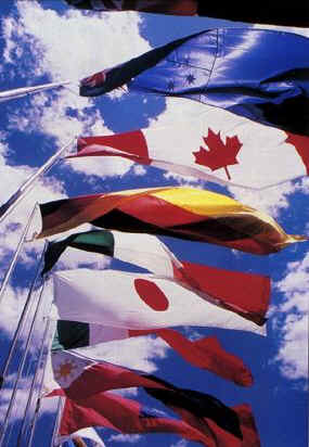 Commercial Aluminum Flagpoles in Architectural Finishes